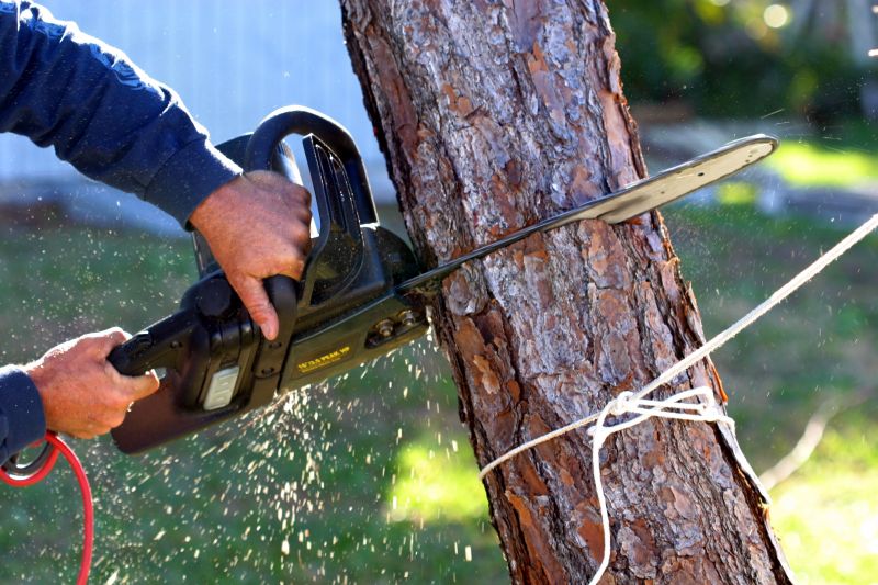 Vine Removal Service