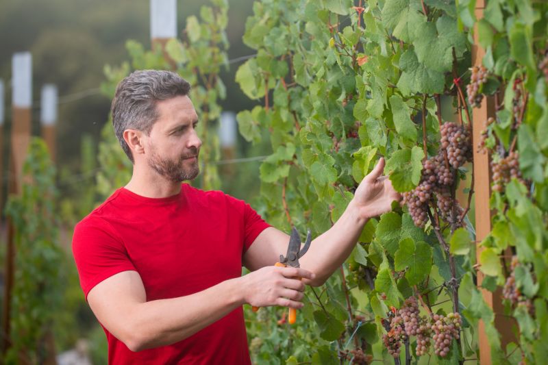 Year-Round Service Availability